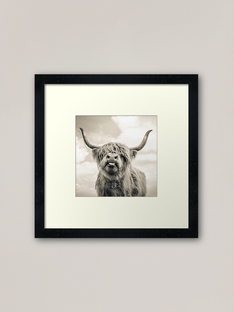 Alternate view of Cheeky Highland Cow Framed Art Print
