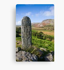 standing stone Canvas Print