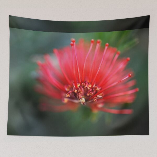 Item preview, Striking Red Grevillea designed and sold by imaginethis.