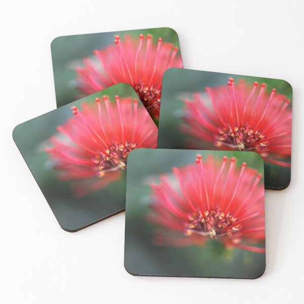 Item preview, Striking Red Grevillea designed and sold by imaginethis.