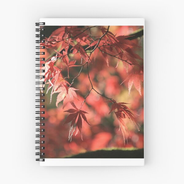 Item preview, Autumn Acer Leaves designed and sold by Nick Pound.