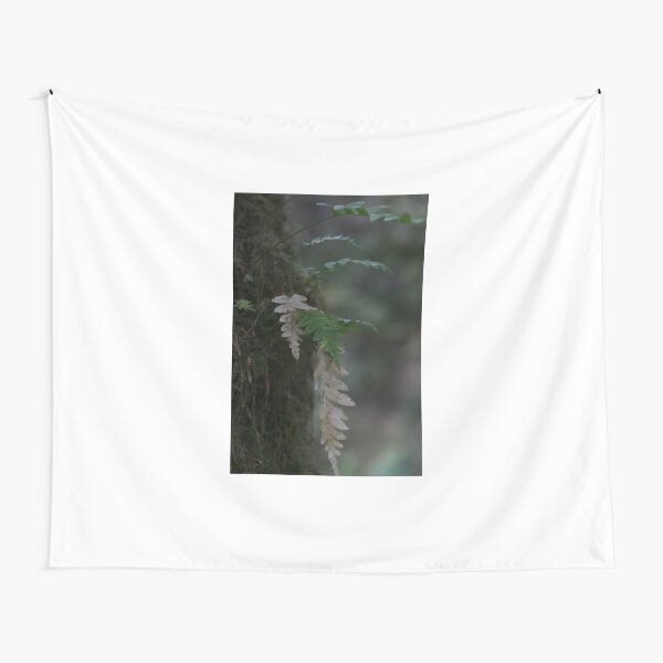 Delicate Fern Tapestry