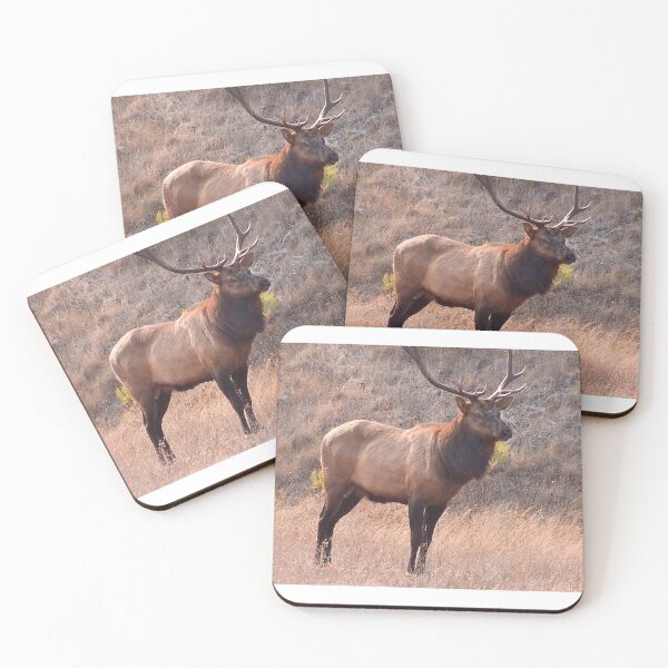 Item preview, Bull Elk designed and sold by Nancy Richard.