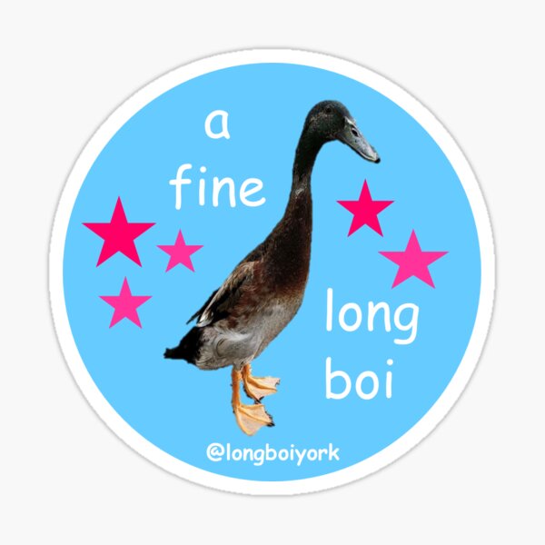 a fine long boi Sticker