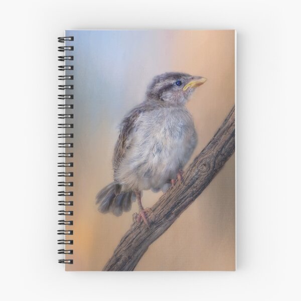 Item preview, Baby Sparrow designed and sold by Barbara Manis.