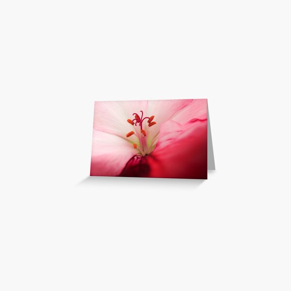 The Heat of the Flower Greeting Card