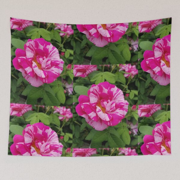 Item preview, Gorgeous Rose Blends designed and sold by mymysterycloset.