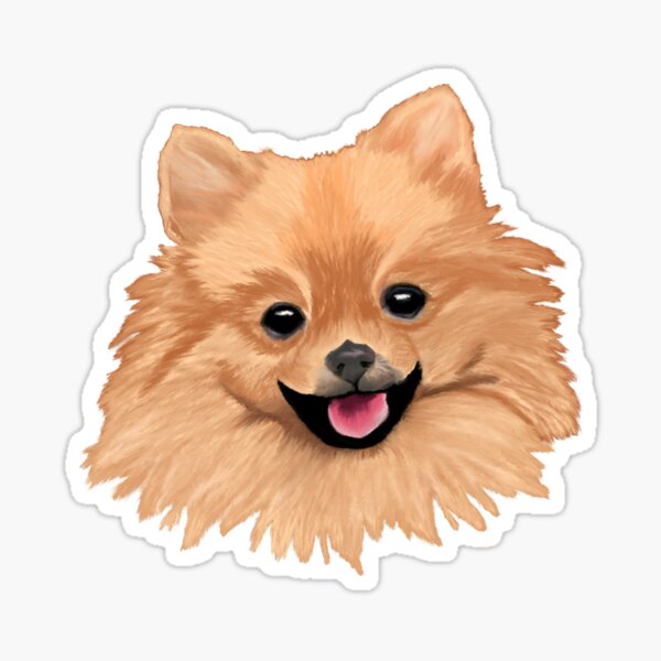 Pomeranian stickers Clearance