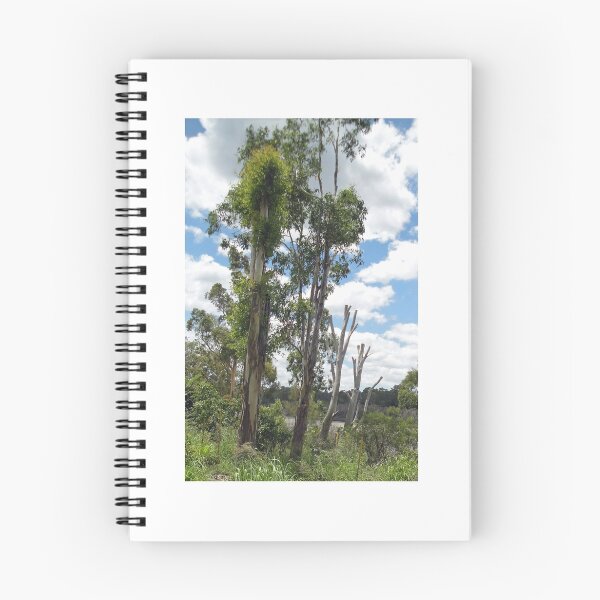 Item preview, Trees Near the Brisbane River designed and sold by STHogan.