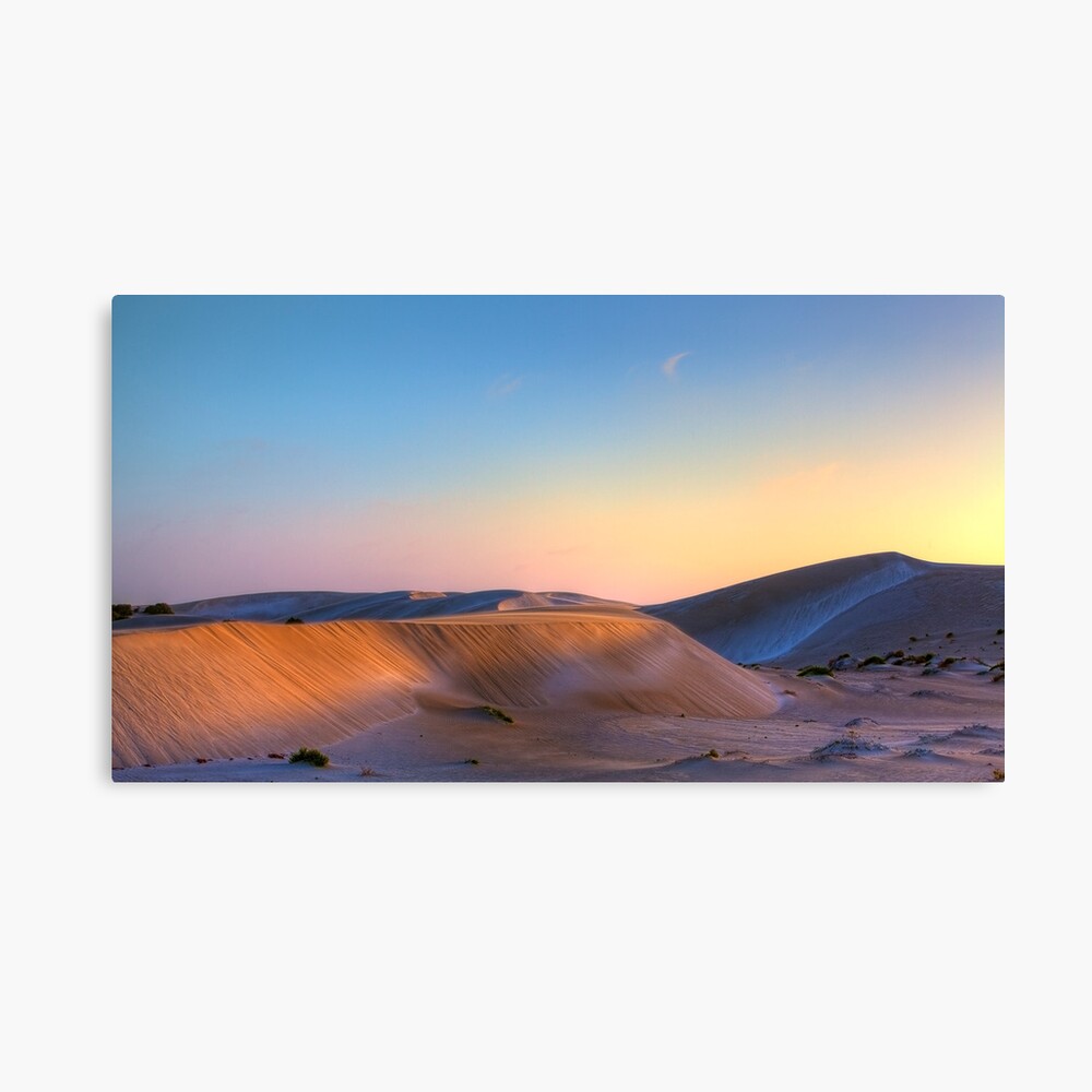 Summer out West Canvas Print