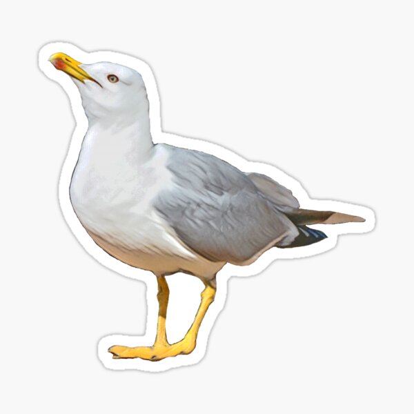 Sea Gull ready to fly Glossy Sticker