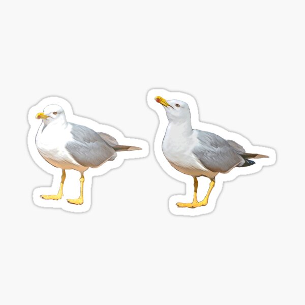 SeaGulls 2in1 Glossy Sticker