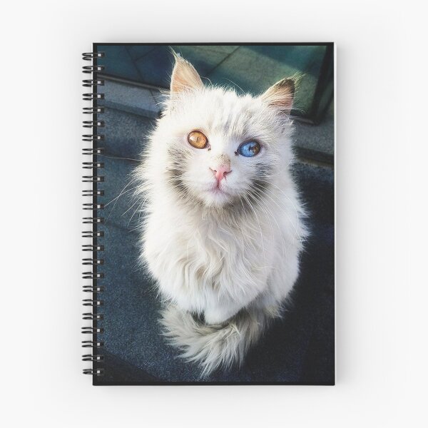 Item preview, Chat aux yeux bicolore  designed and sold by Switchin-Shop.