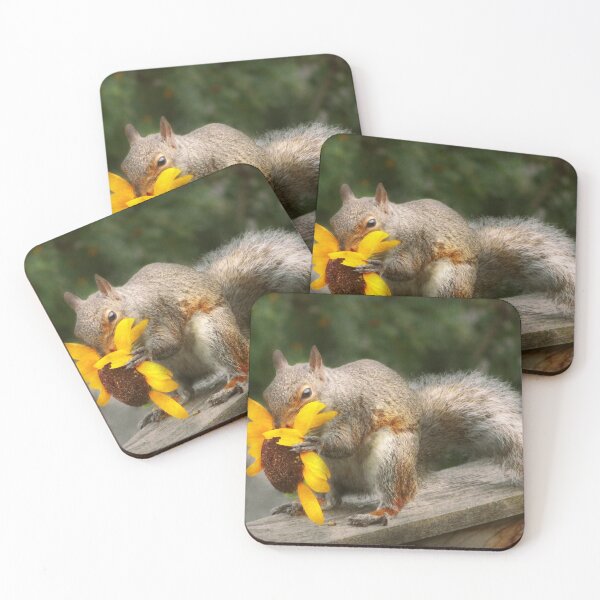 Item preview, Animal - Squirrel - Summer treats designed and sold by Mike Savad Photography.