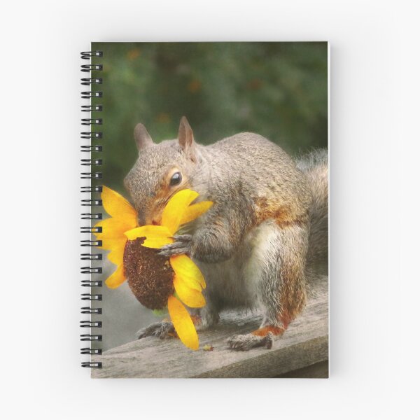 Item preview, Animal - Squirrel - Summer treats designed and sold by Mike Savad Photography.