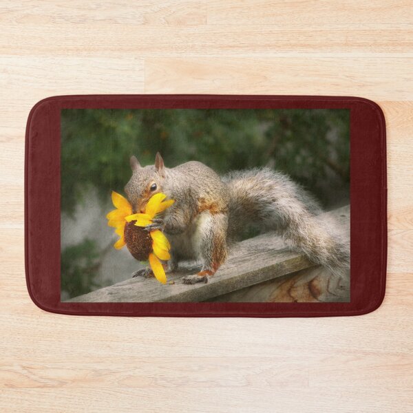 Item preview, Animal - Squirrel - Summer treats designed and sold by Mike Savad Photography.