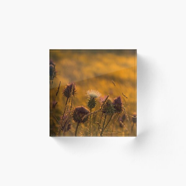 Item preview, thistles designed and sold by Mario  Loureiro.