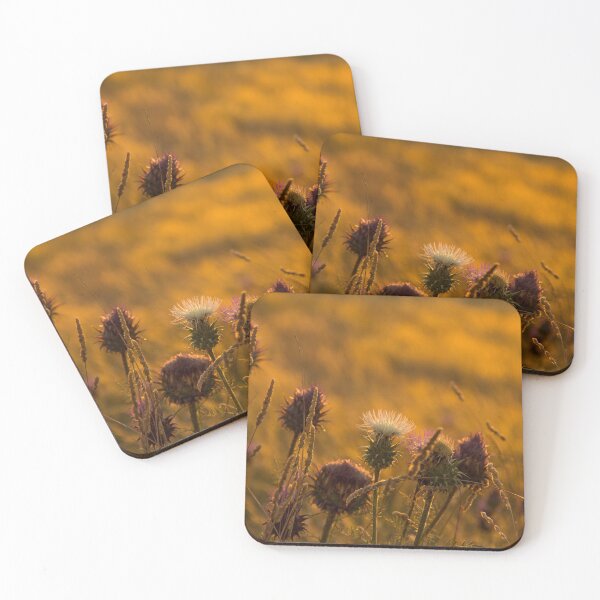Item preview, thistles designed and sold by Mario  Loureiro.