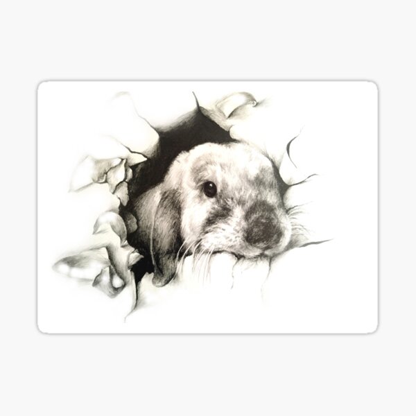 3D rabbit drawing bunny destruction Sticker