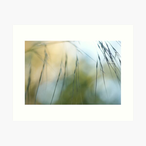 native grass Art Print