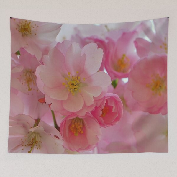 Item preview, Cherry Blossoms designed and sold by Frankie Cat Photography.