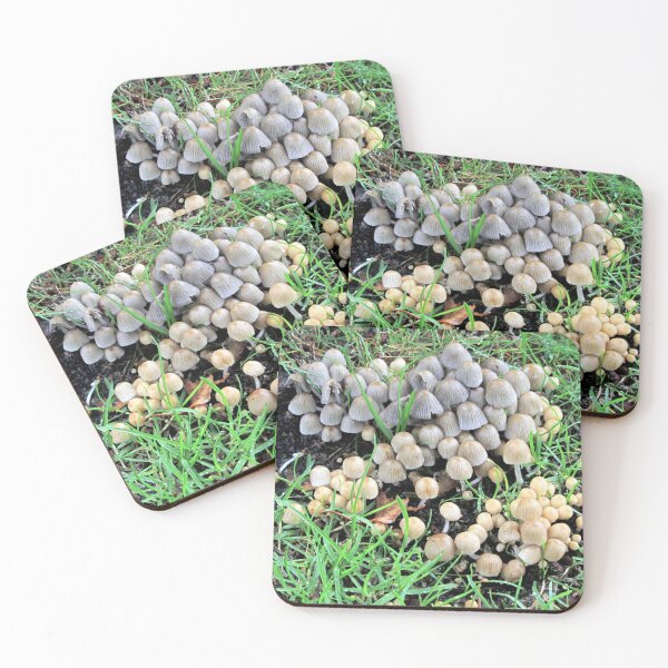 Item preview, mushrooms - photograph designed and sold by valerie travers.