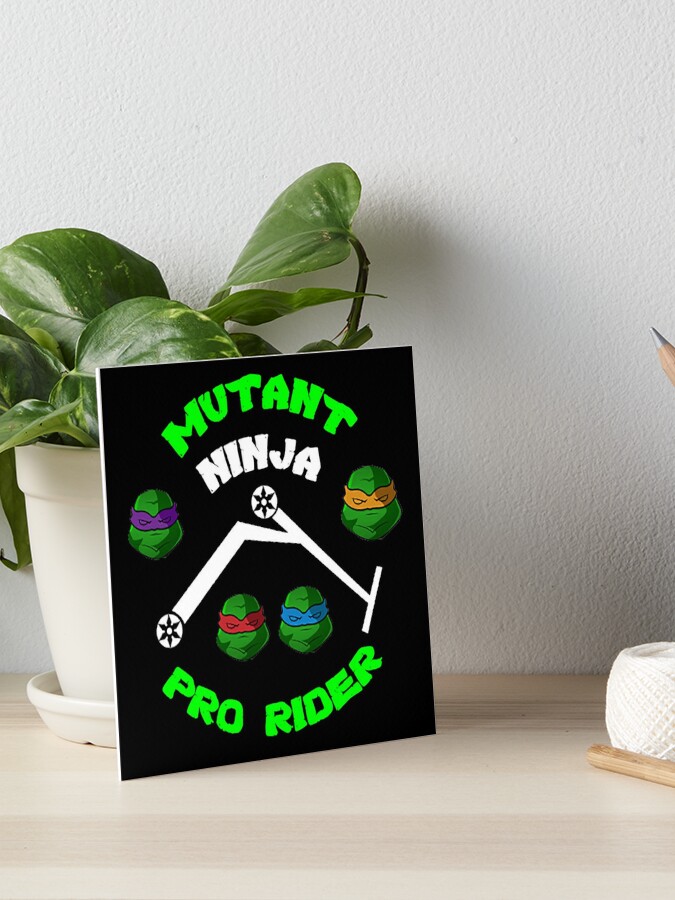 Pro Free Rider -Teenage Mutant Ninja Turtle Scooter - tmnt gift