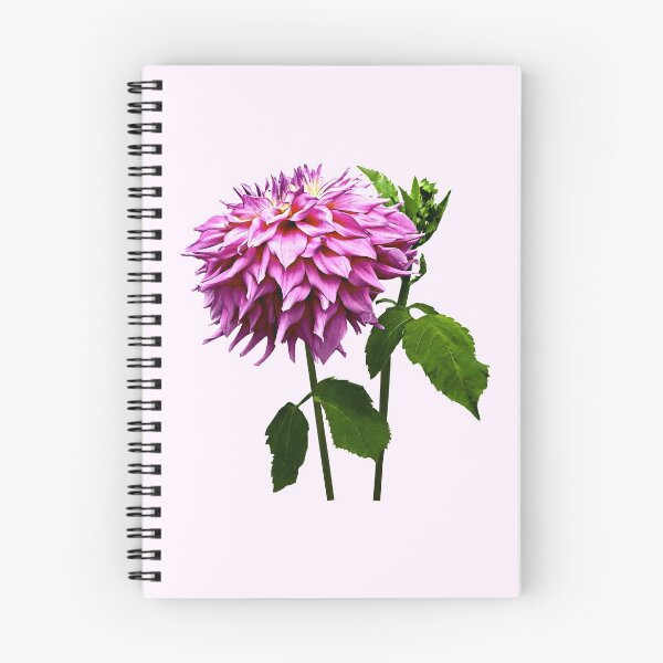 Item preview, One Pink Dahlia and Buds designed and sold by Susan Savad.