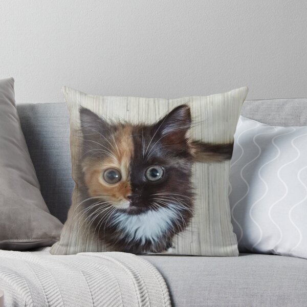 Item preview, Chaton noir/marron  designed and sold by Switchin-Shop.