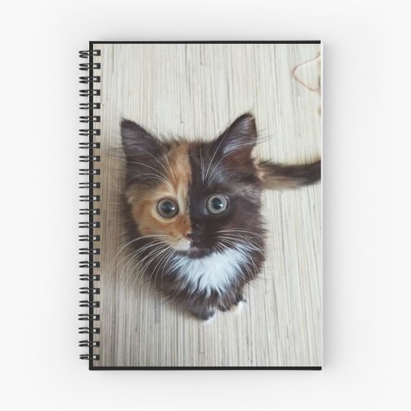 Item preview, Chaton noir/marron  designed and sold by Switchin-Shop.