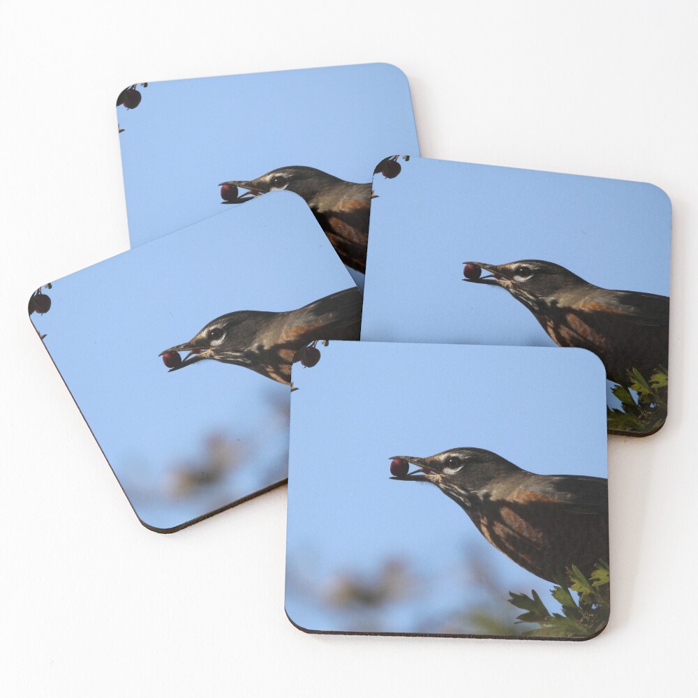 Item preview, Coasters (Set of 4) designed and sold by SandiLin.