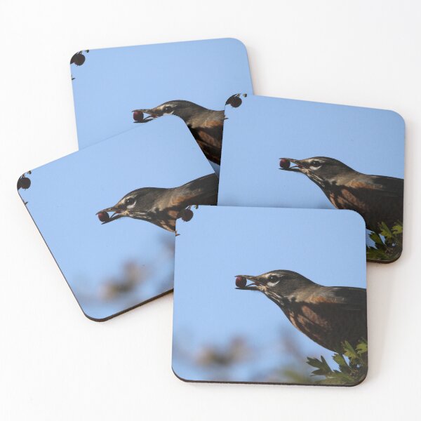 Item preview, Robin designed and sold by Sandi Walmsley.