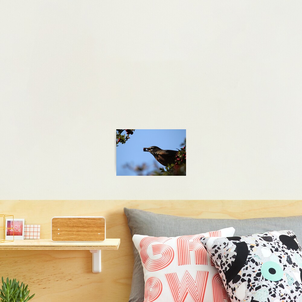 Item preview, Photographic Print designed and sold by SandiLin.