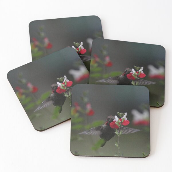 Item preview, Hummingbird sampling lipstick plant designed and sold by Sandi Walmsley.