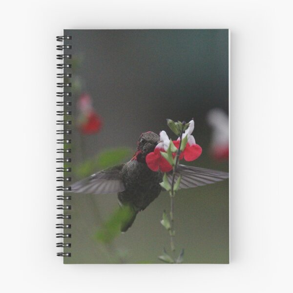 Item preview, Hummingbird sampling lipstick plant designed and sold by Sandi Walmsley.