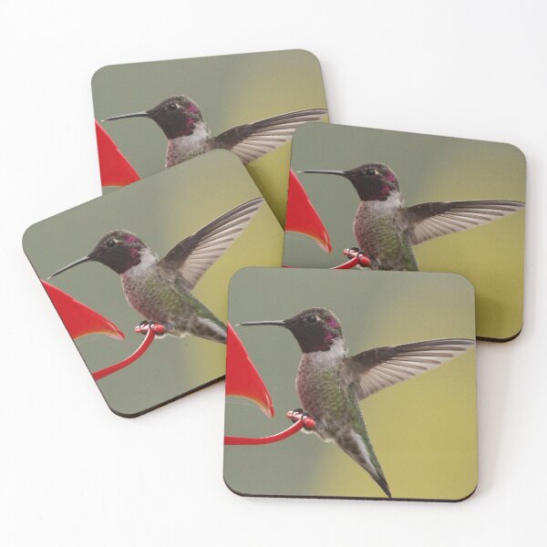 Item preview, Hummingbird at feeder designed and sold by Sandi Walmsley.