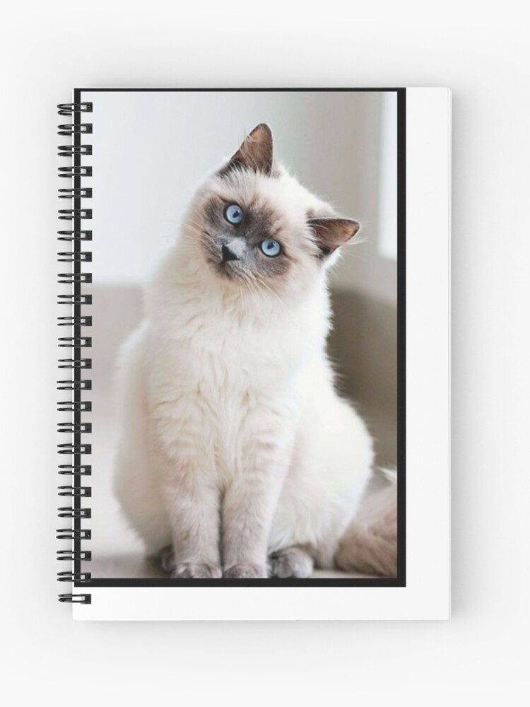 Chat Blanc Aux Yeux Bleus Spiral Notebook By Switchin Shop Redbubble