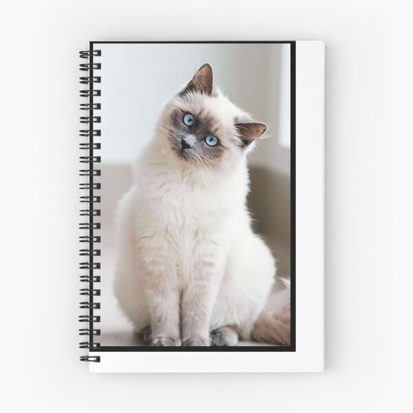 Item preview, Chat Blanc aux yeux bleus  designed and sold by Switchin-Shop.