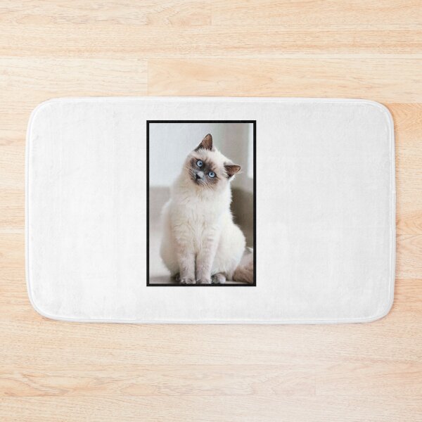 Item preview, Chat Blanc aux yeux bleus  designed and sold by Switchin-Shop.