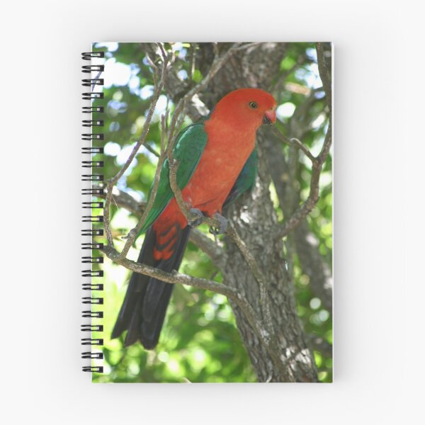 Item preview, Burradoo Native Bird designed and sold by Samantha Bailey.