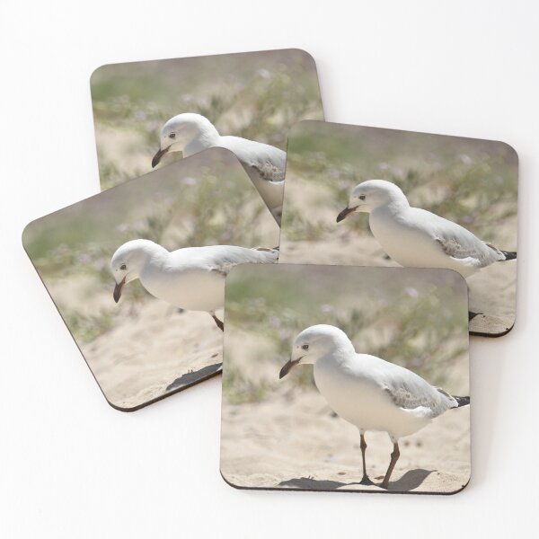 Item preview, Seagull on the Sand designed and sold by imaginethis.