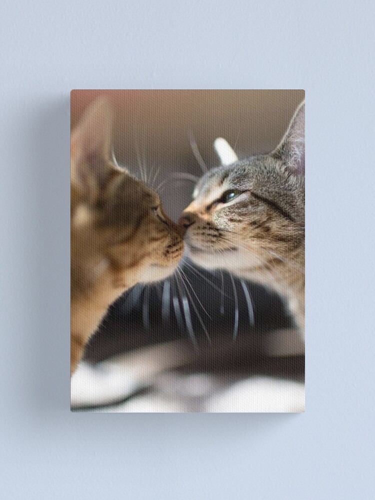Bisou De Chat Canvas Print By Switchin Shop Redbubble