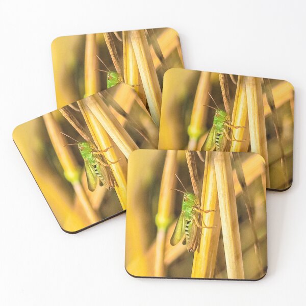 Item preview, Meadow Grasshopper  designed and sold by Vincent J. Newman.