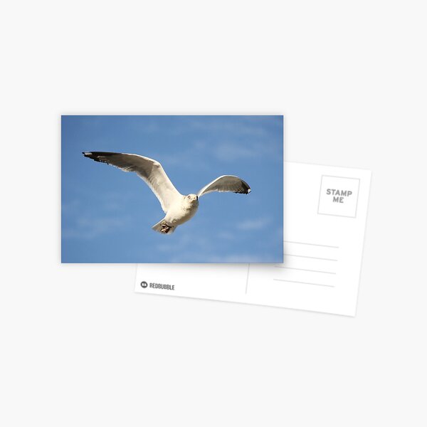 Item preview, Soaring Sea Gull designed and sold by Paulette1021.