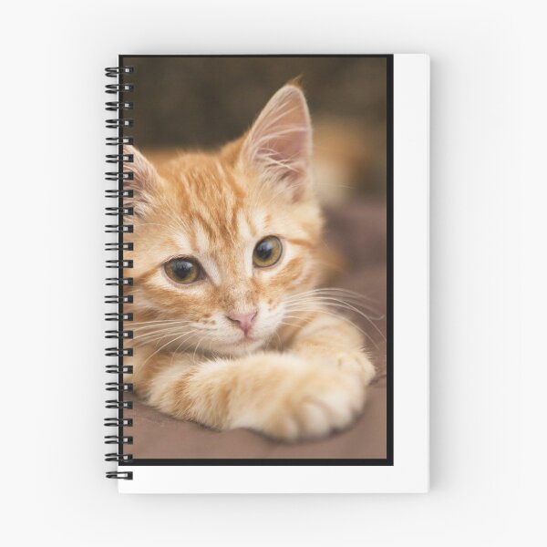 Item preview, Chaton roux tout mignon  designed and sold by Switchin-Shop.