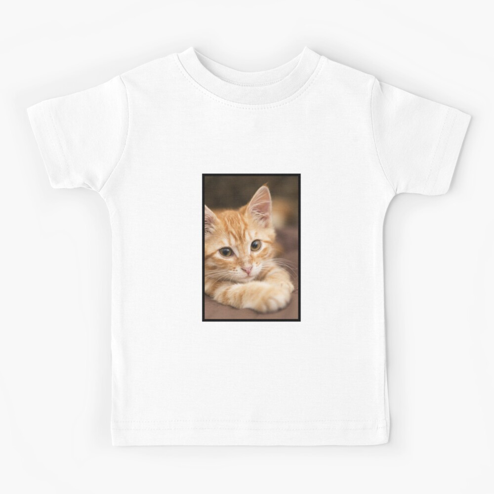 Chaton Roux Tout Mignon Kids T Shirt By Switchin Shop Redbubble