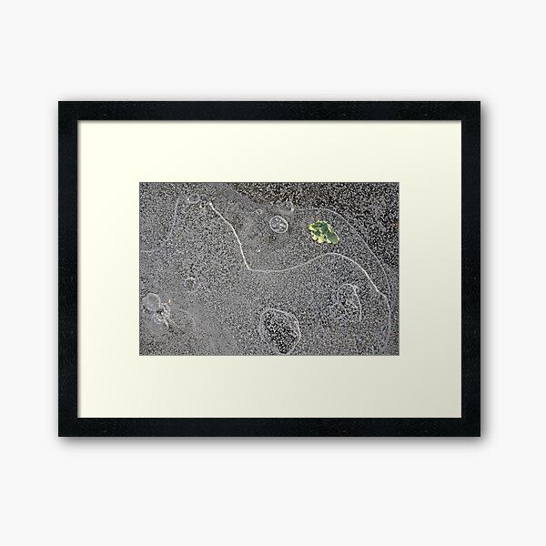 microlandscapes...lichen on ice Framed Art Print