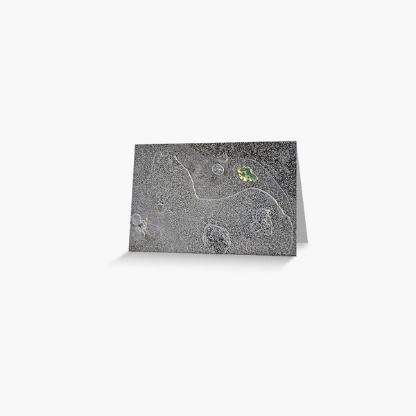 microlandscapes...lichen on ice Greeting Card