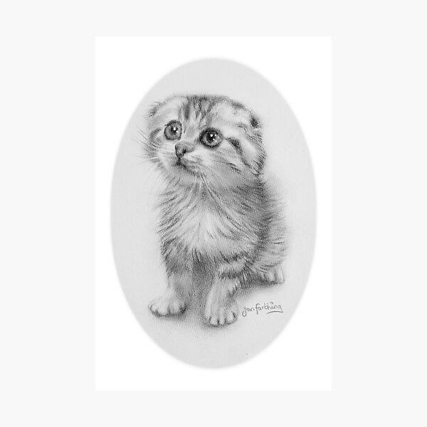 Item preview, It wasn't me !! Pencil portrait. designed and sold by jan farthing.