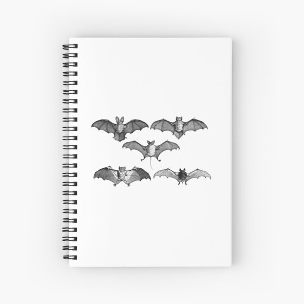 Bat, Cahier à spirale